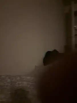 Jozefbull webkamerás műsora