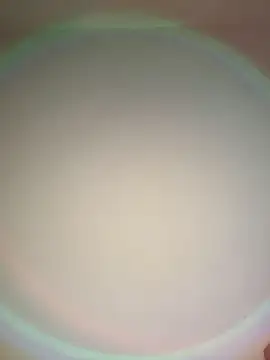 GiannaMagari_ Live XXX-Chat