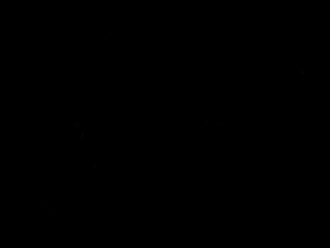 BroodedUlster Webcam-Show