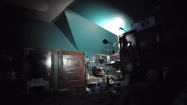 charactrzero Webcamshow