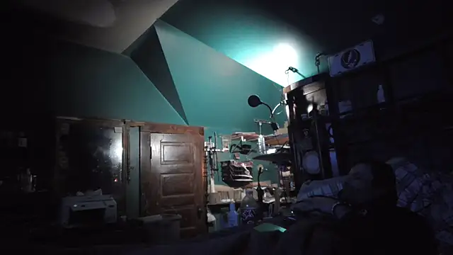 charactrzero webcam show