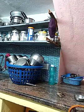 Show Webcam de bakyasree143