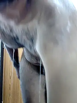 RohitGarg200のウェブカメラショー