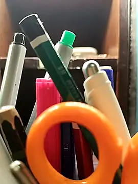 Serpico_47's Webcam Show