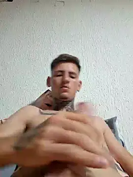 Artur386383n Webbikameraesitys