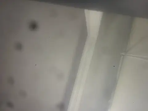 Swapurcrm: вебкам-шоу