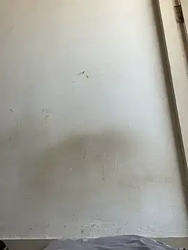 floctous Webcam-Show