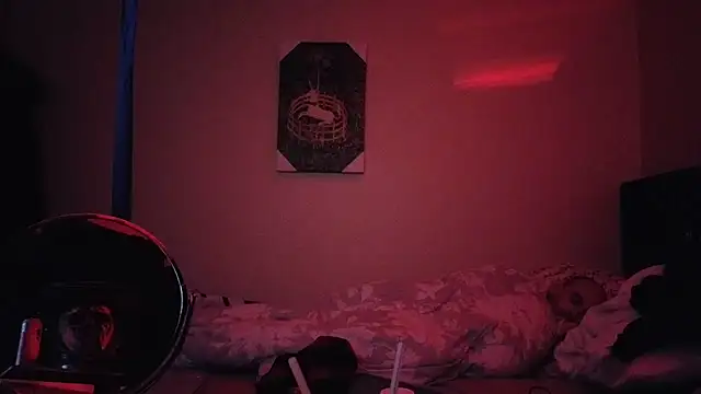 hailzeffn's Webcam Show