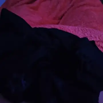 Mathyxe Pertunjukan Webcam