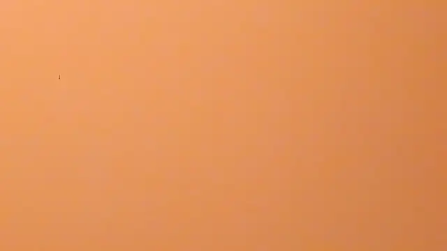 b3cky_ Live XXX-chat