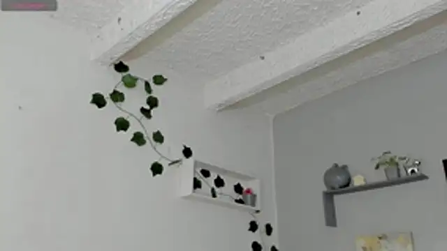 Show Webcam de Thomas_wil