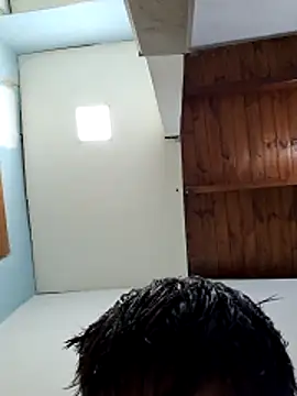 17-pib's Webcam Show