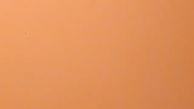 Chat XXX Live b3cky_