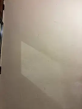 Show webcam de pareji-ta