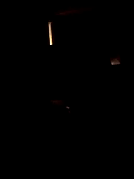 AceticPinscher Live XXX Chat