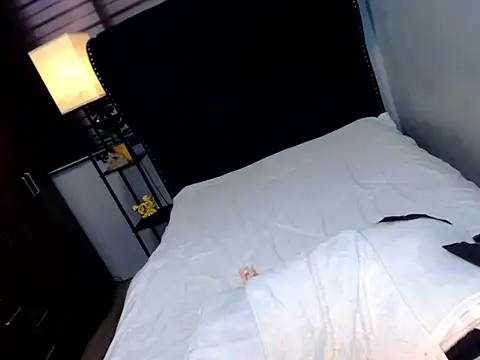 QueenDommeUSAn Webbikameraesitys