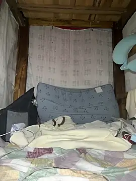 daaqnn 现场XXX聊天