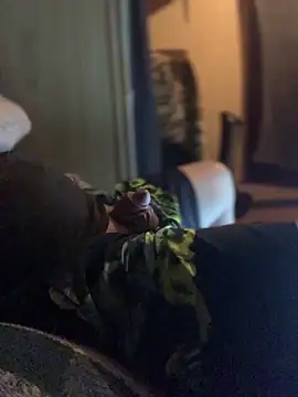 Ldnick69 即時 XXX 聊天