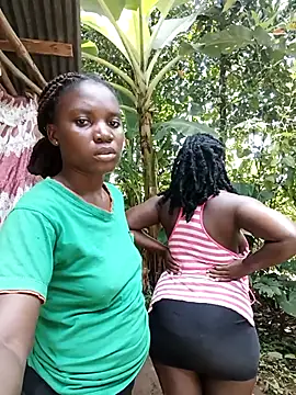 holygrail001n Webbikameraesitys