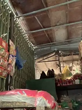 Chat XXX ao vivo de BellaCherishDarling