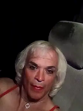 Show de dustbunny64 na webcam