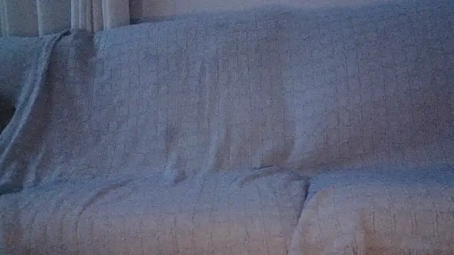 Webkamerová show pedro_power