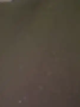 abella1116 现场XXX聊天