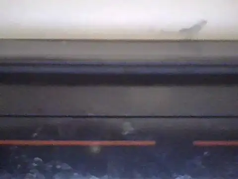 Živý XXX chat Sassydoll1