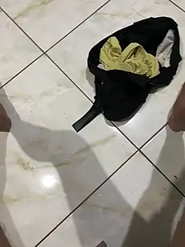 Show de webcam de cf27