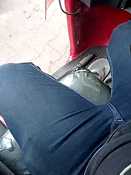 Wild-Dreams webkamerás műsora