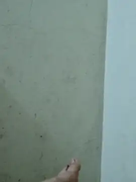 boydamdang1999x Adlı Modelin Web Kamerası Şovu