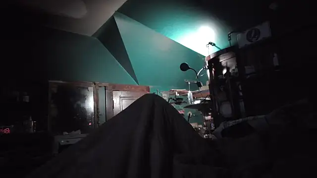 charactrzero Webcam Show