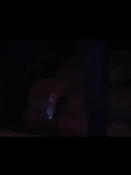 Show webcam de Cushington