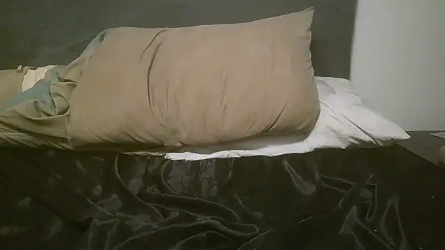 kypnpversn Webbikameraesitys