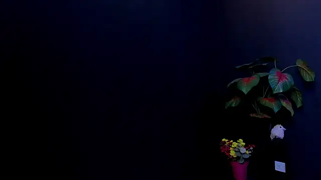 Онлайн чат XXX Amy_whittee