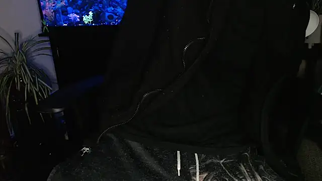 EspanolVato's Webcam Show