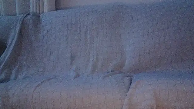 Show de webcam de pedro_power