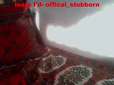 Chat XXX en directo de Stubborndesiboy