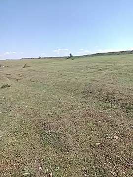 Pokazy przed kamerką – Saysomething3