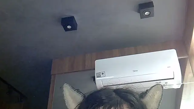 Chat XXX ao vivo de SkinnyKitten