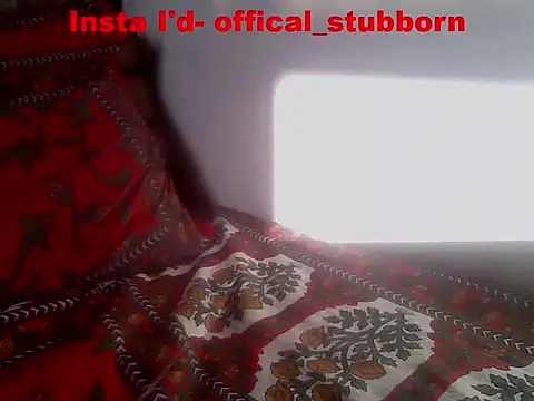 Show de Stubborndesiboy na webcam