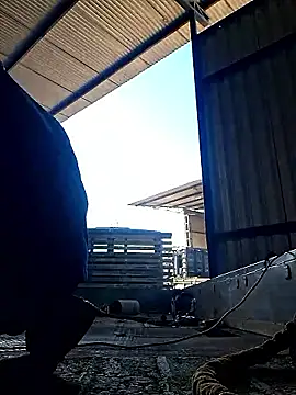 Show de roariel na webcam