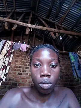 عرض كام holygrail001