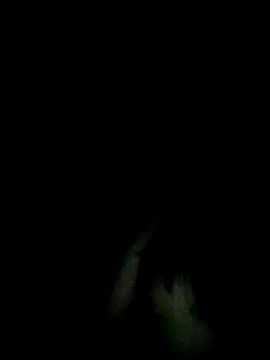 Živý XXX chat dryan-