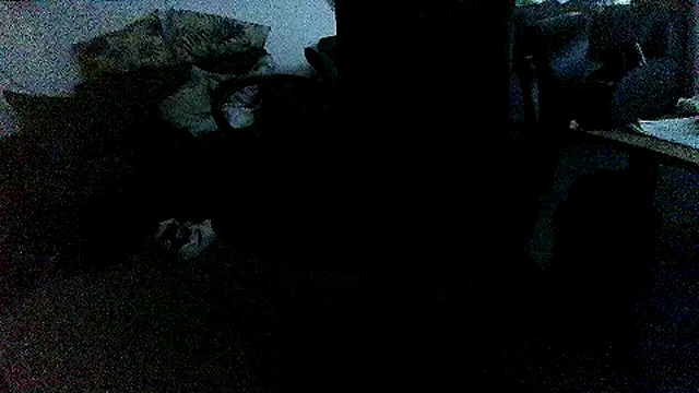 Show webcam de Natural_Active