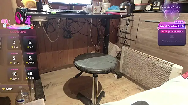 Show webcam de misteryman1956