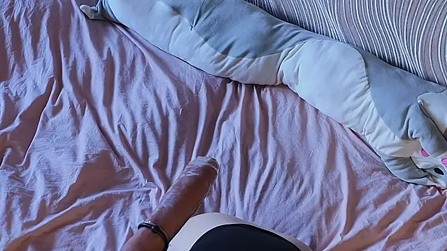 Lovely___Nekoのウェブカメラショー