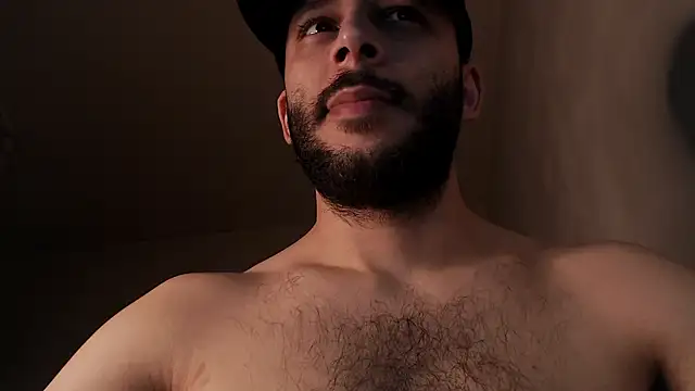 henryaxen Webbikameraesitys