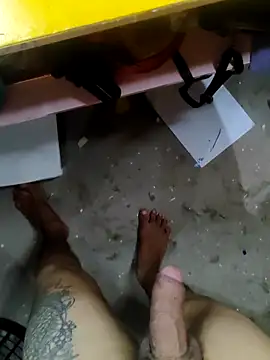 zoi2324n Webbikameraesitys