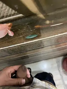 Webkamerová show sweet_lollipop4